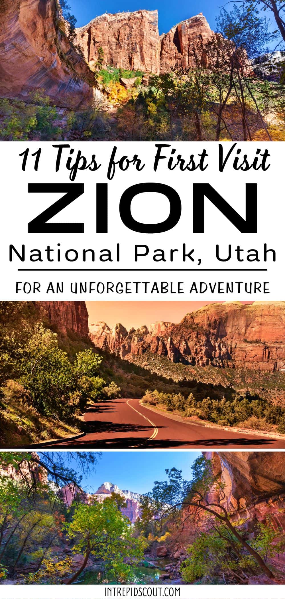 Tips for First Visit to Zion Tips for First Visit to Zion