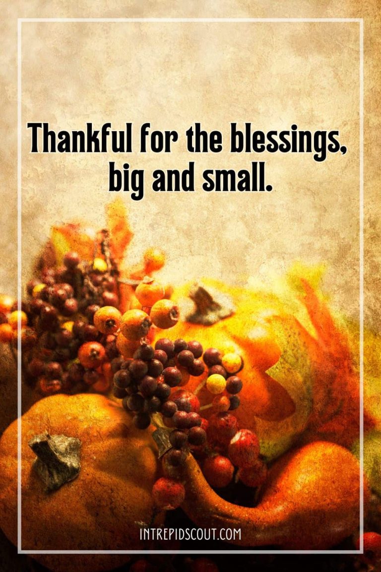 104 Thanksgiving Day Captions and Quotes to Celebrate Gratitude