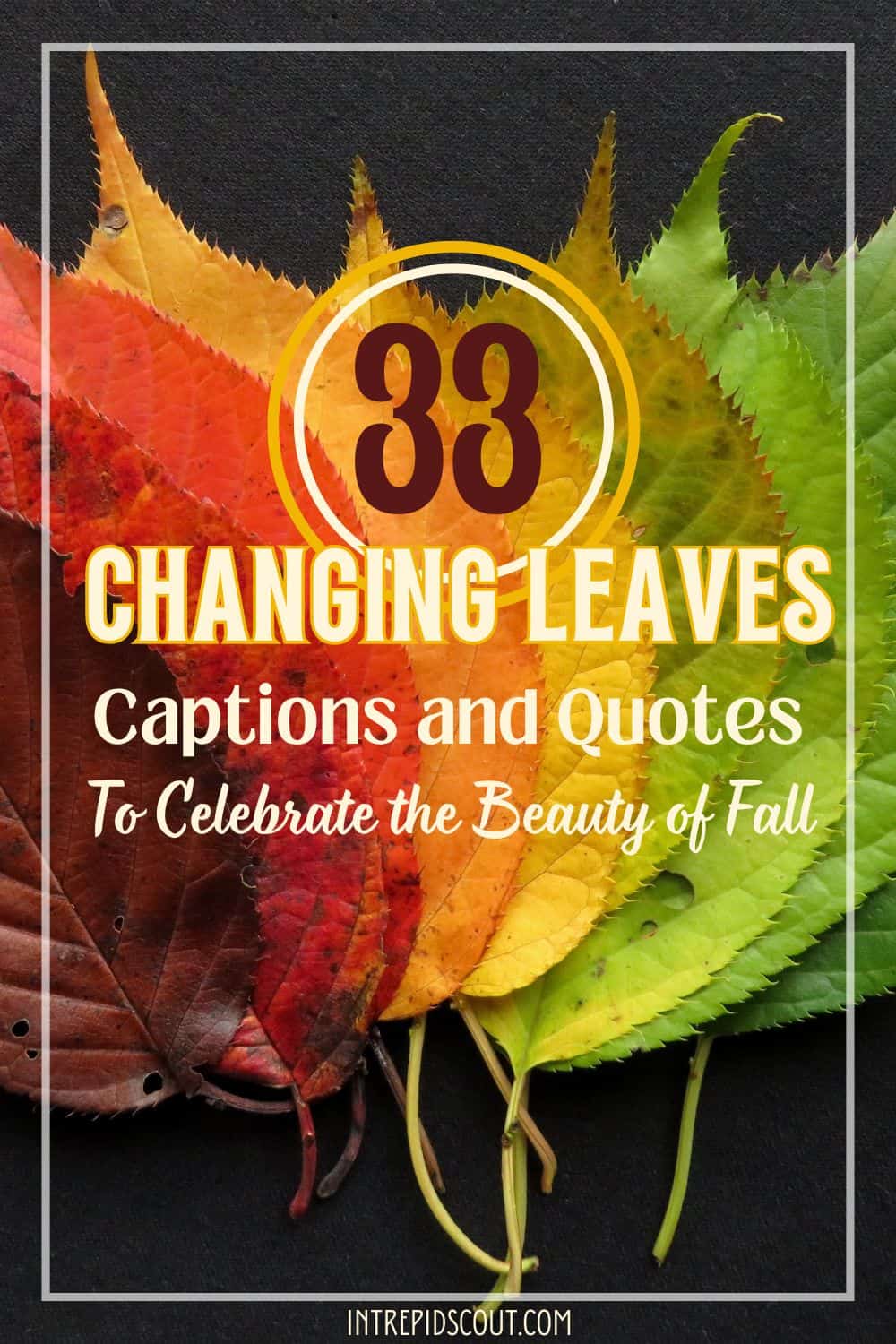 Changing Leaves Quotes Changing Leaves Quotes