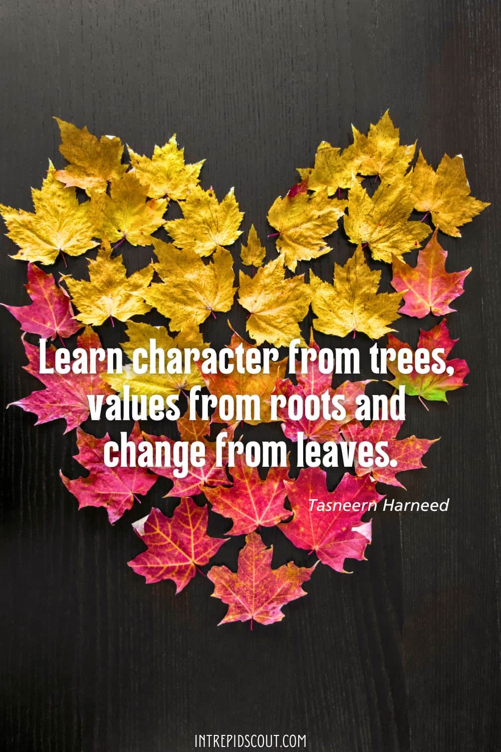 Changing Leaves Quotes Changing Leaves Quotes