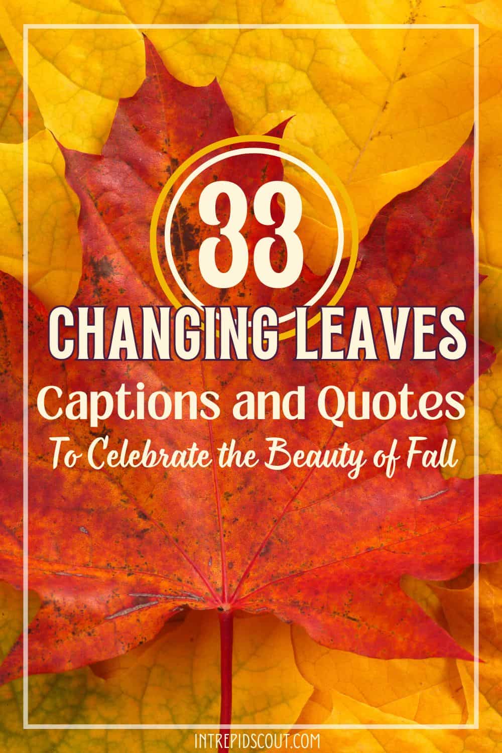 Changing Leaves Quotes Changing Leaves Quotes
