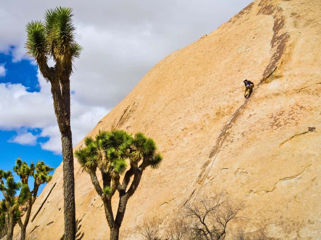 Rock Climbing in Joshua Tree