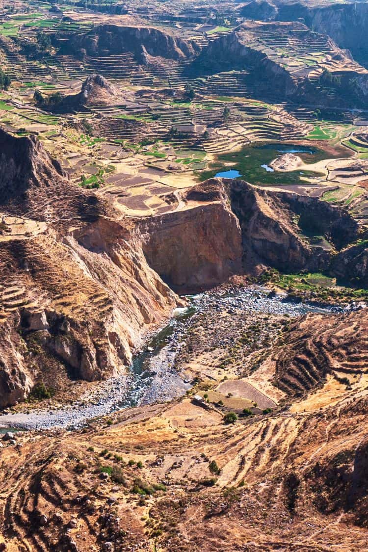What Is Peru Known For Colca Canyon