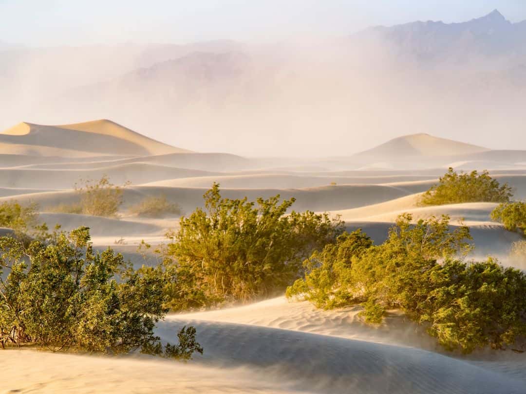 National Parks in California