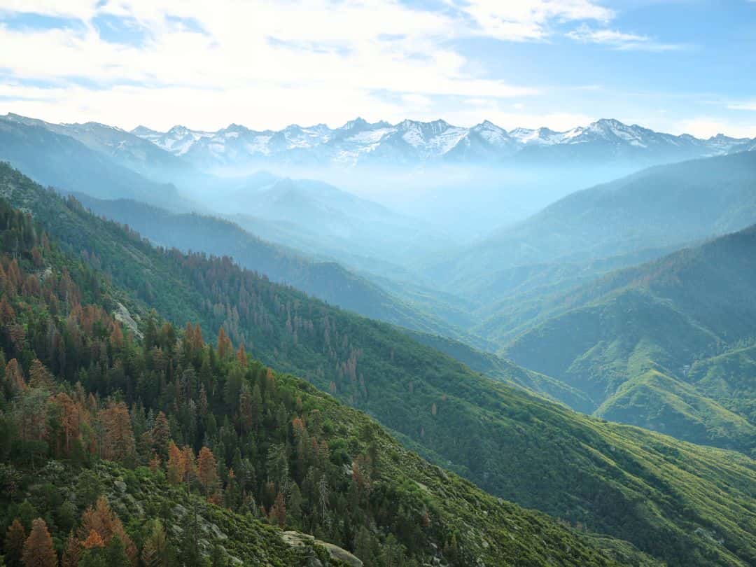 View from Moro Rock