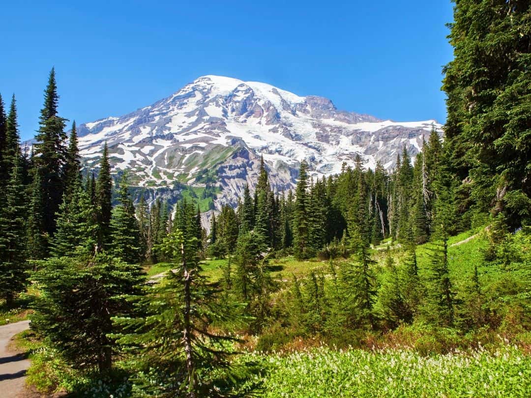 Mount Rainier