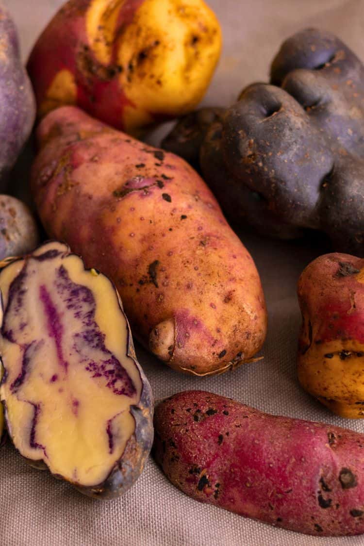 What Is Peru Known For Peru Potatoes