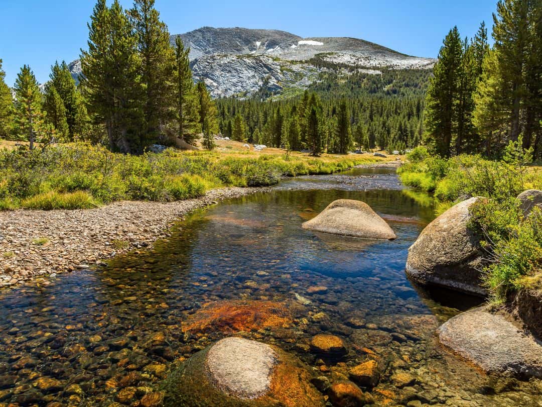 Best Stops on Tioga Road Dana Meadow