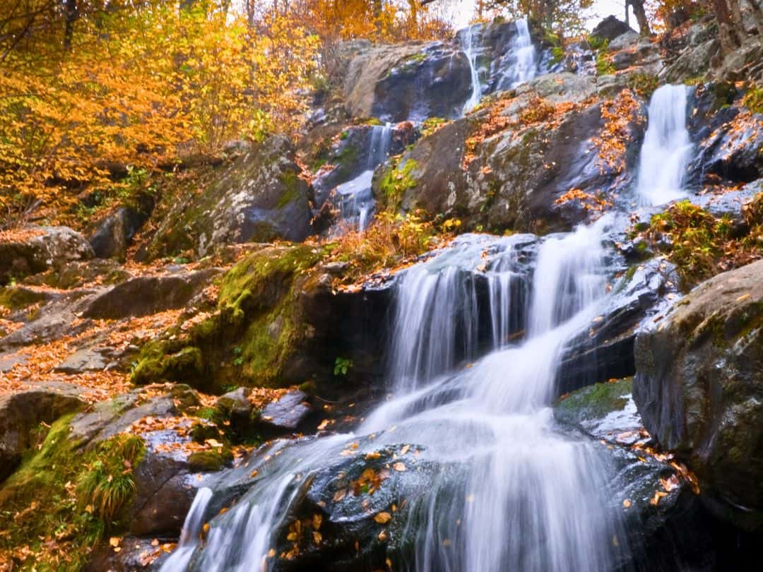 Dark Hollow Falls in Shenandoah National Park