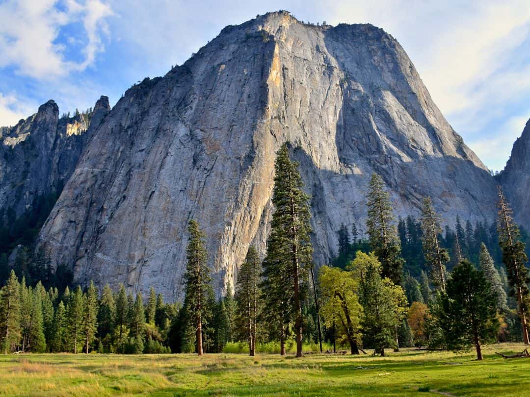 El Capitan Meadow