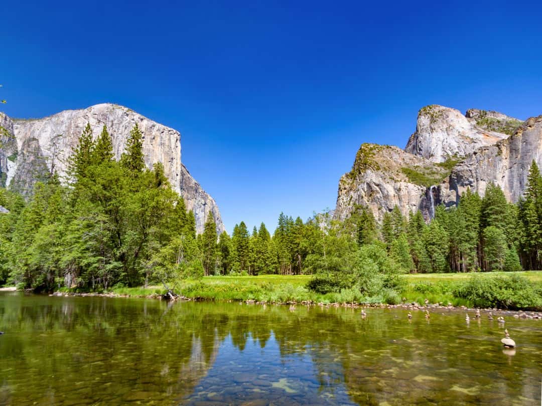 El Capitan Meadow