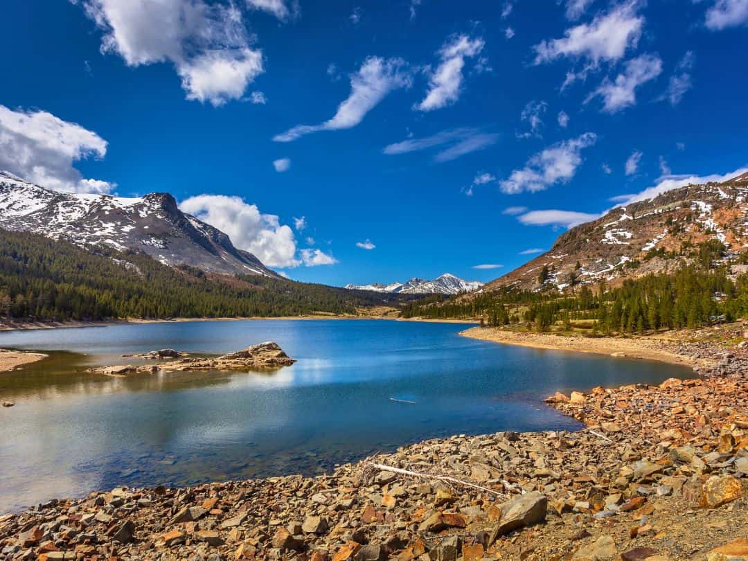 Best Stops on Tioga Road Ellery Lake