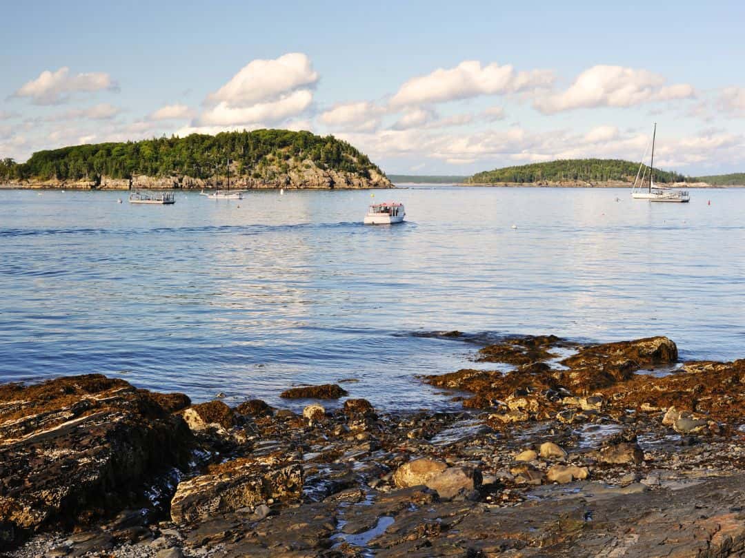 Paradise Hill Overlook of Frenchman Bay