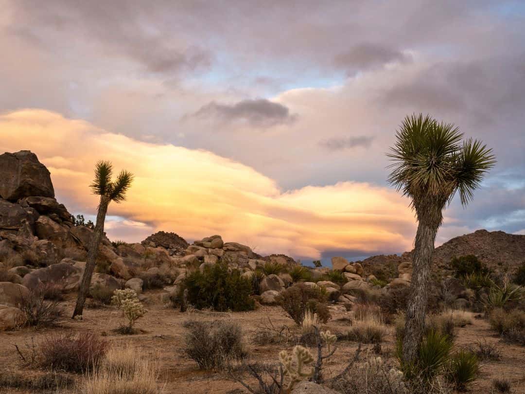 Hidden Valley in Joshua Tree