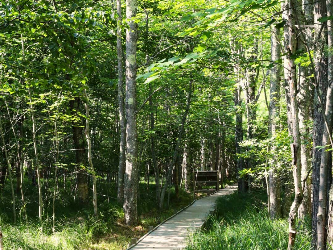 Best Stops on Acadia Loop Road