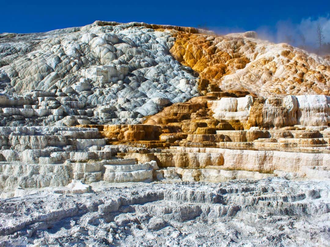 Best Stops on Yellowstone Grand Loop Drive