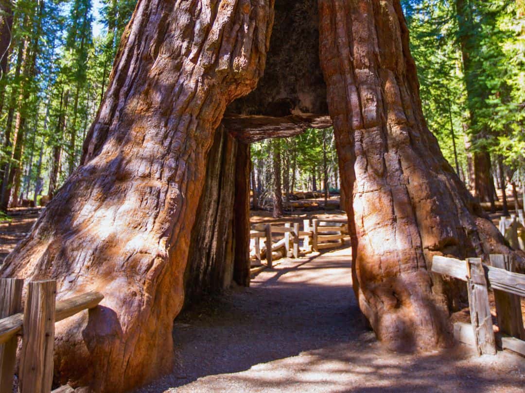 Easy Hikes in Yosemite