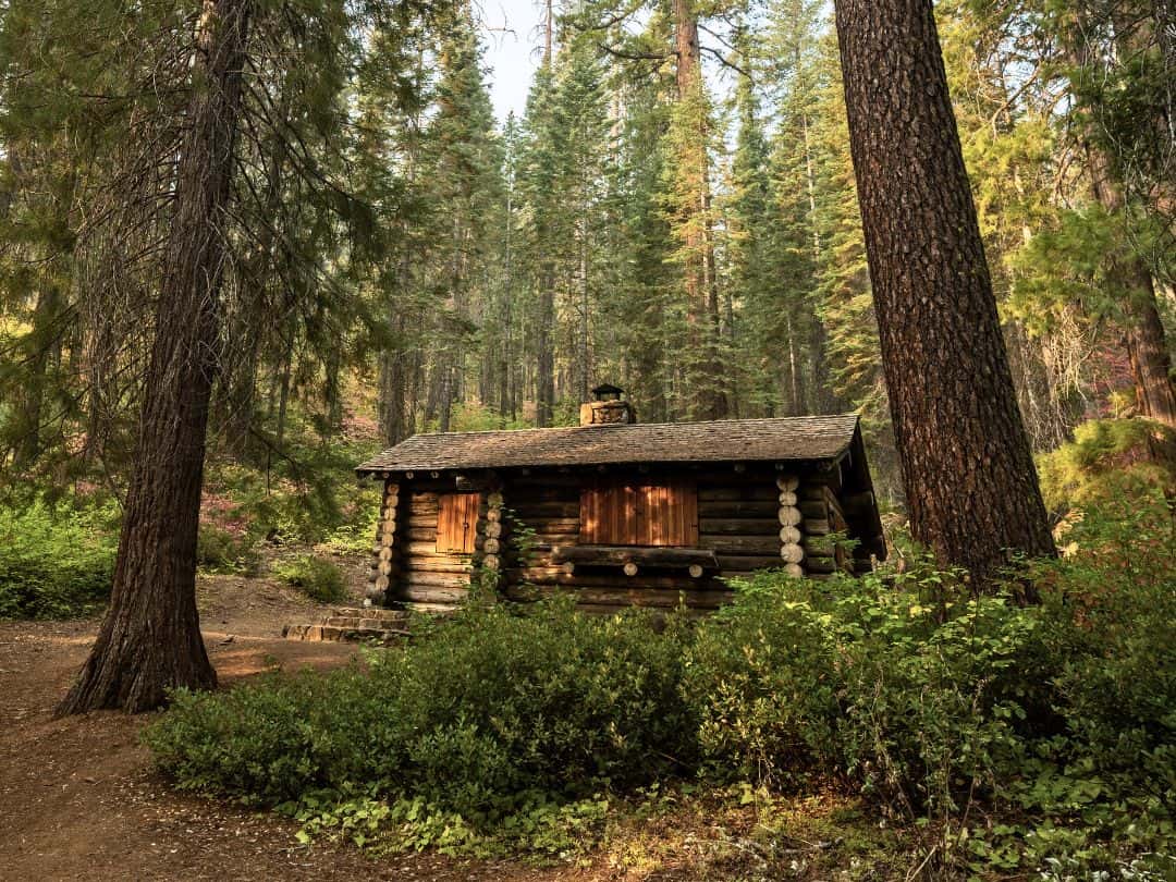 Best Stops on Tioga Road Merced Grove in Yosemite National Park