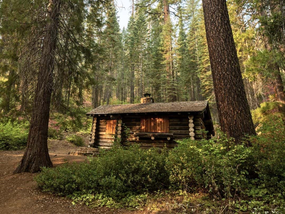 Merced Grove in Yosemite National Park