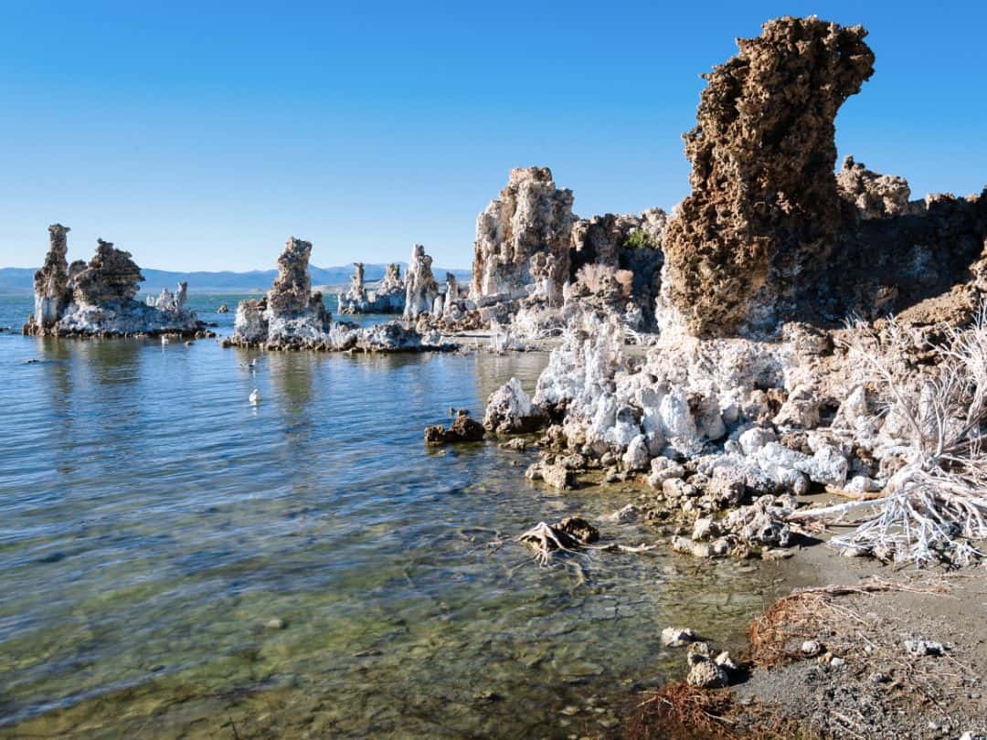 Mono Lake