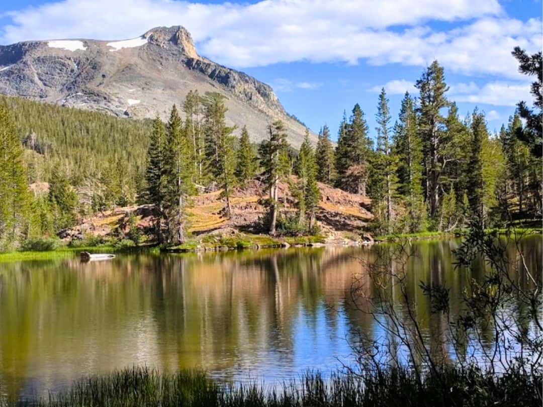 Best Stops on Tioga Road