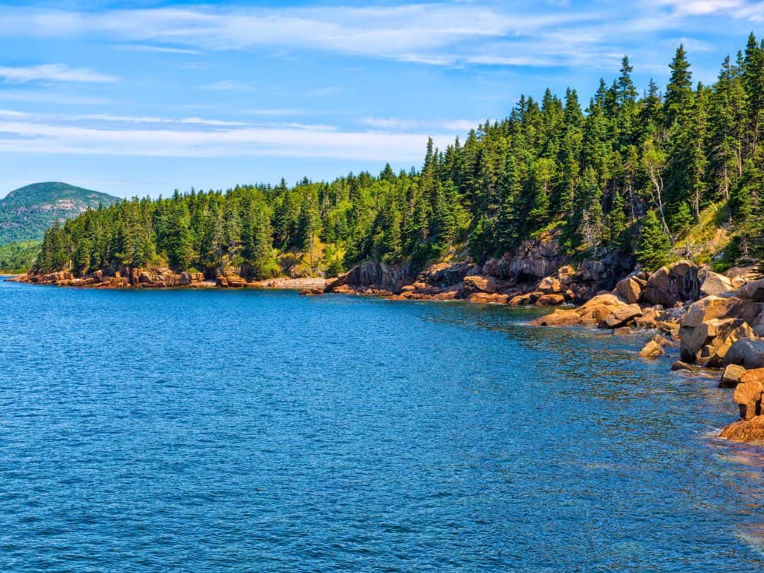 Otter Cove in Acadia