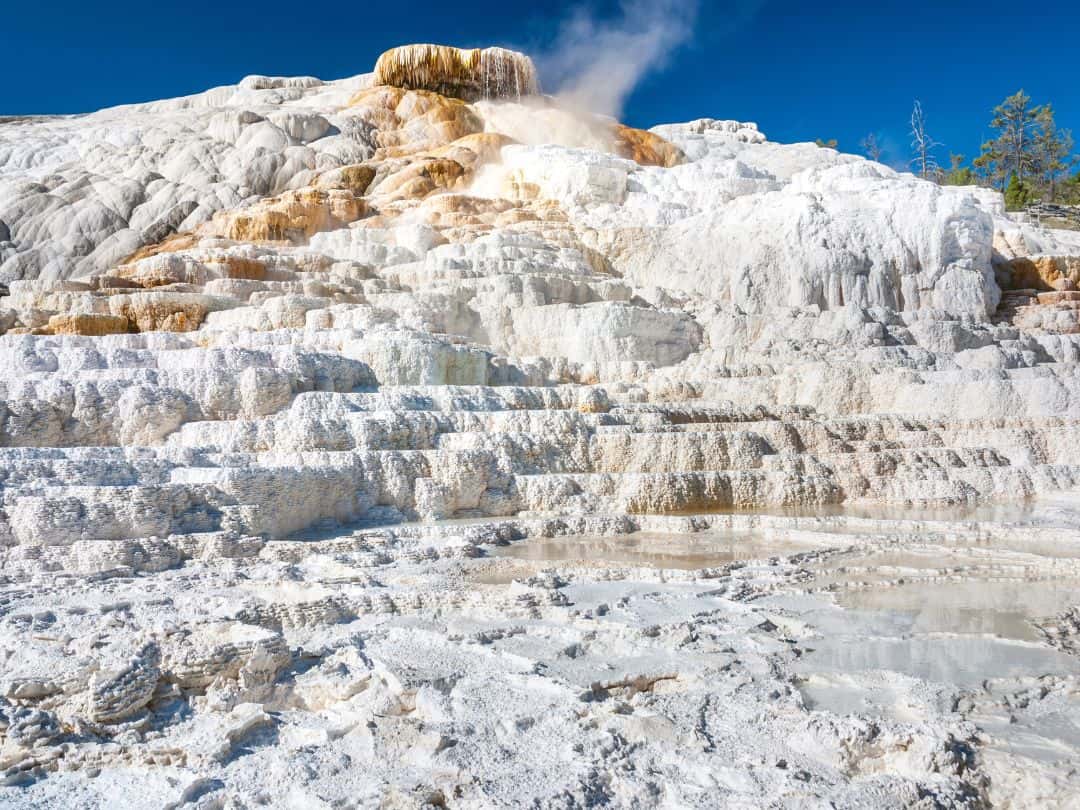 Best Stops on Yellowstone Grand Loop Drive