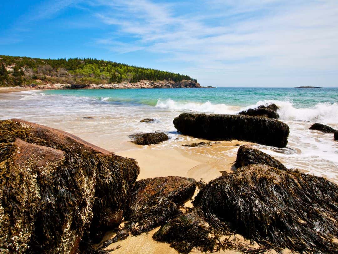 Sand Beach in Acadia