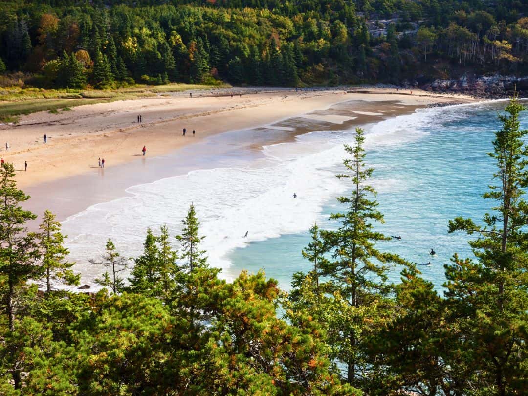 Sand Beach in Acadia