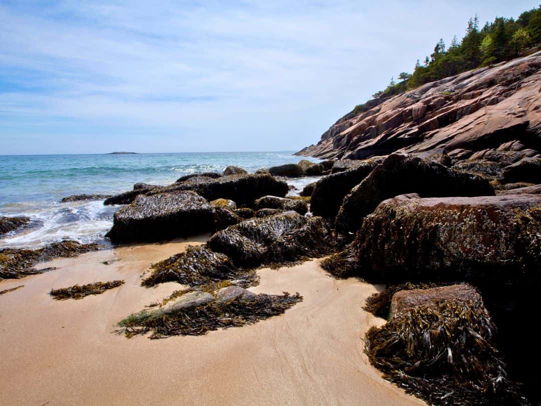 Sand Beach in Acadia