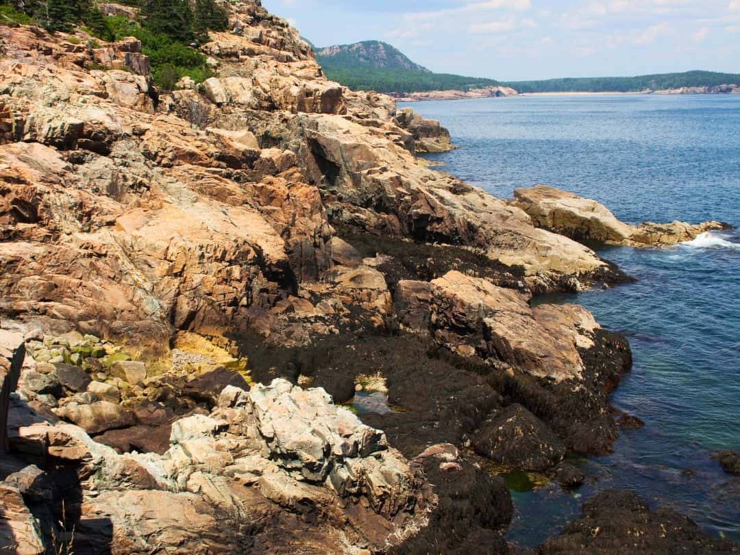 Schooner Head in Acadia