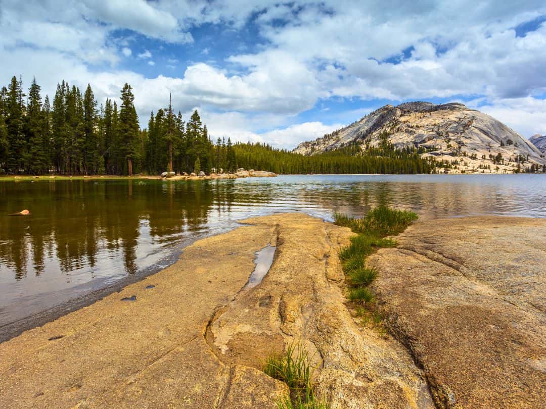Best Stops on Tioga Road Tenaya Lake