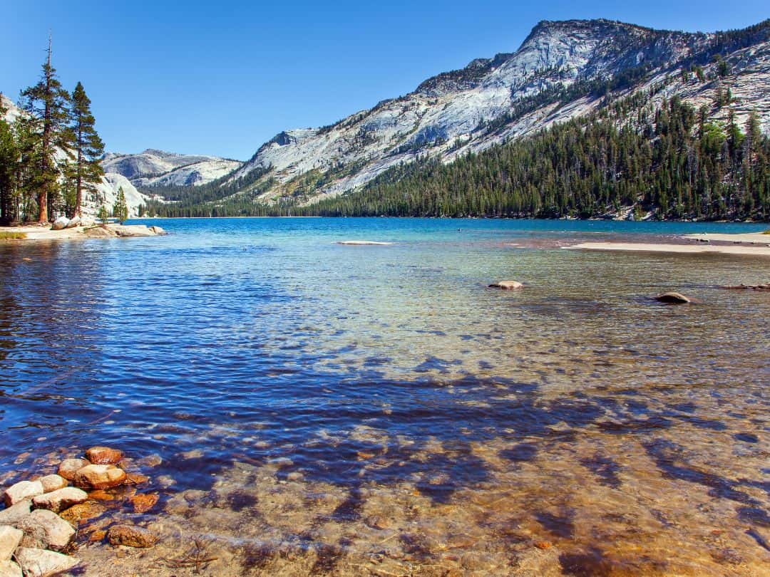 Scenic Drives in Yosemite