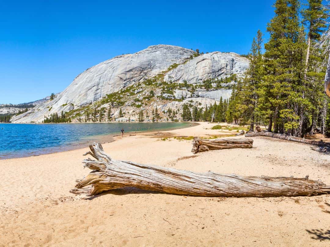 Easy Hikes in Yosemite