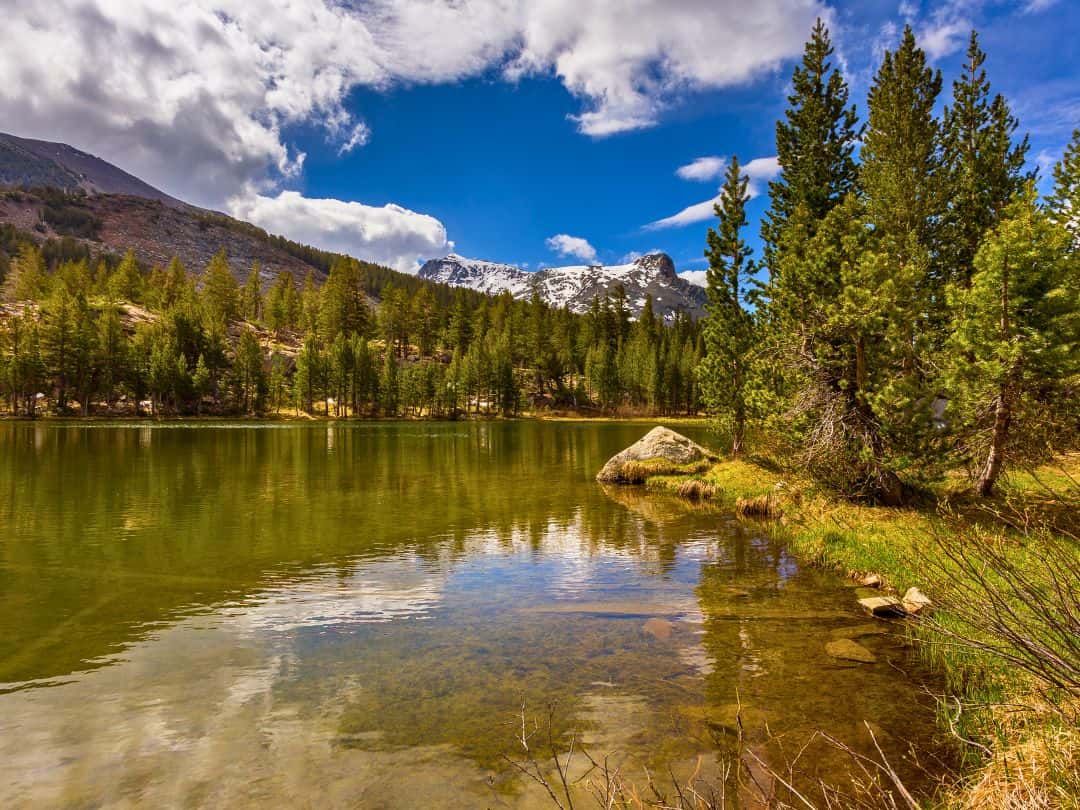 Best Stops on Tioga Road