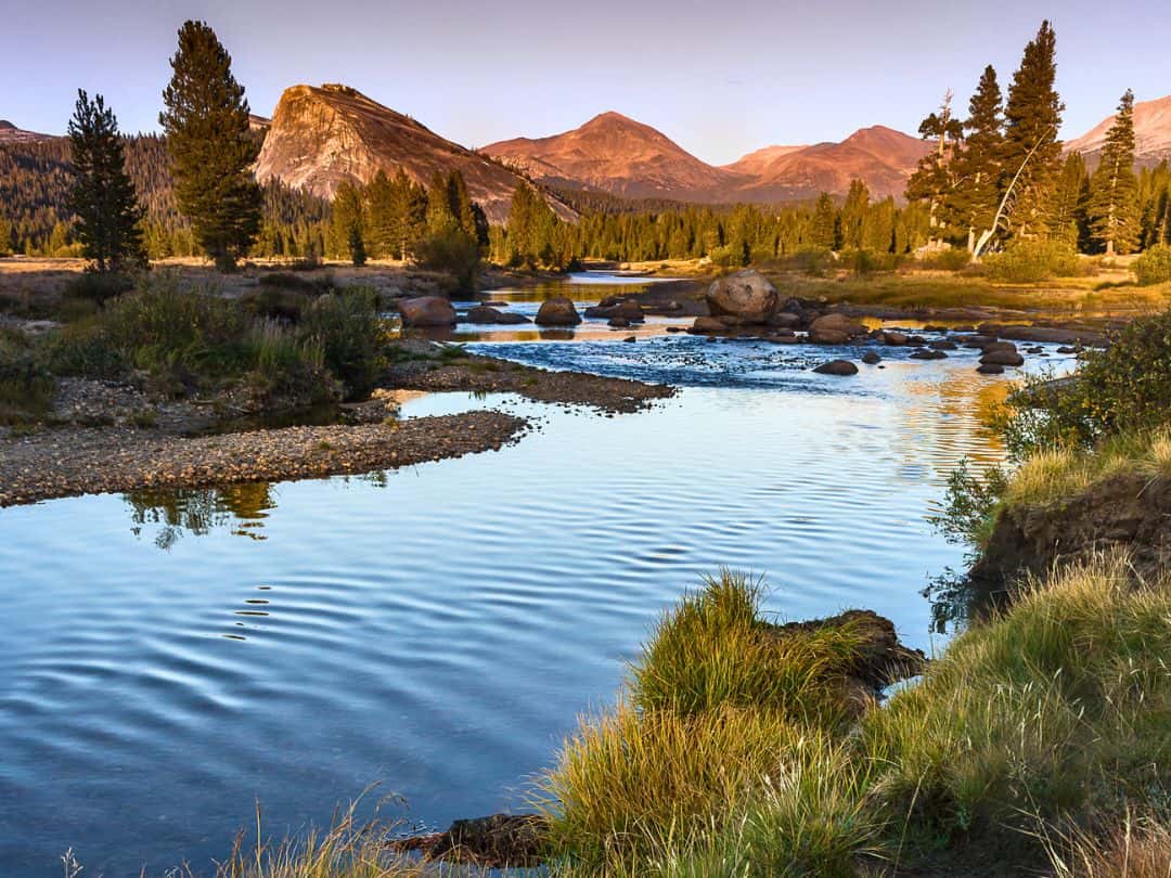 Tuolumne Meadows