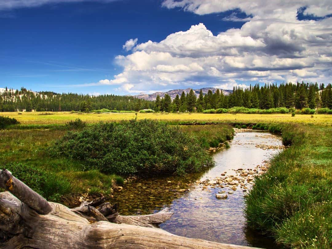 Best Stops on Tioga Road Tuolumne Meadows