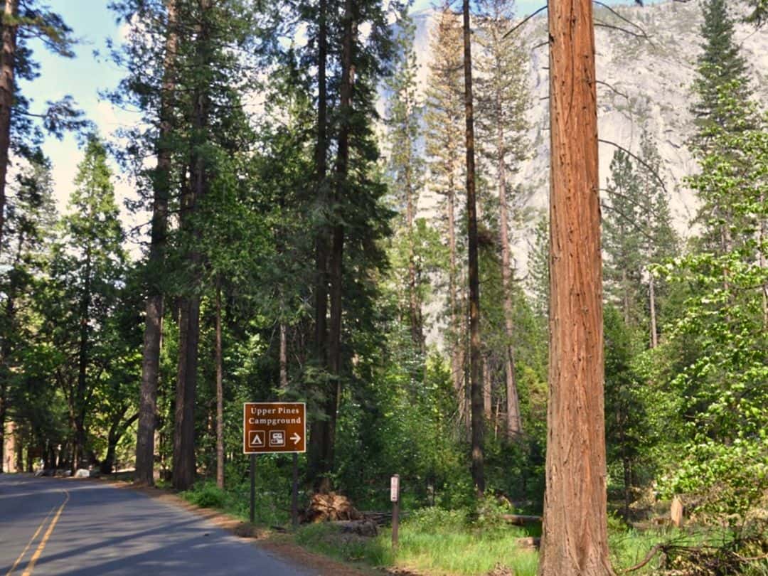 Upper Pines Campground