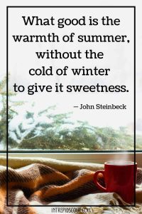 206 Winter Captions and Quotes to Capture the Charm of the Season