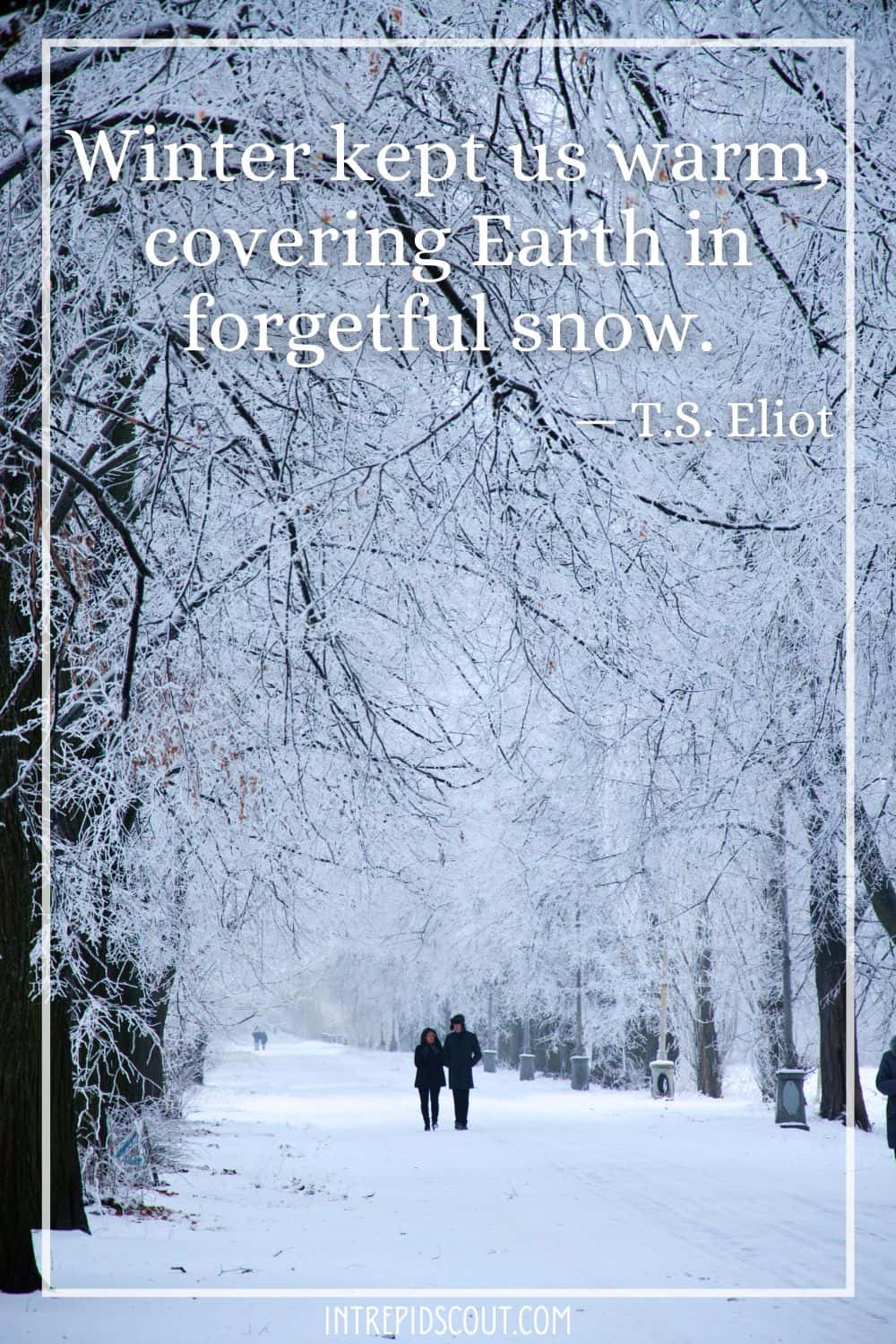 Winter Captions and Quotes Winter Captions and Quotes