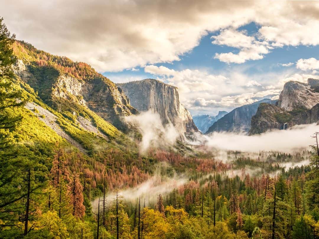 Fall in Yosemite