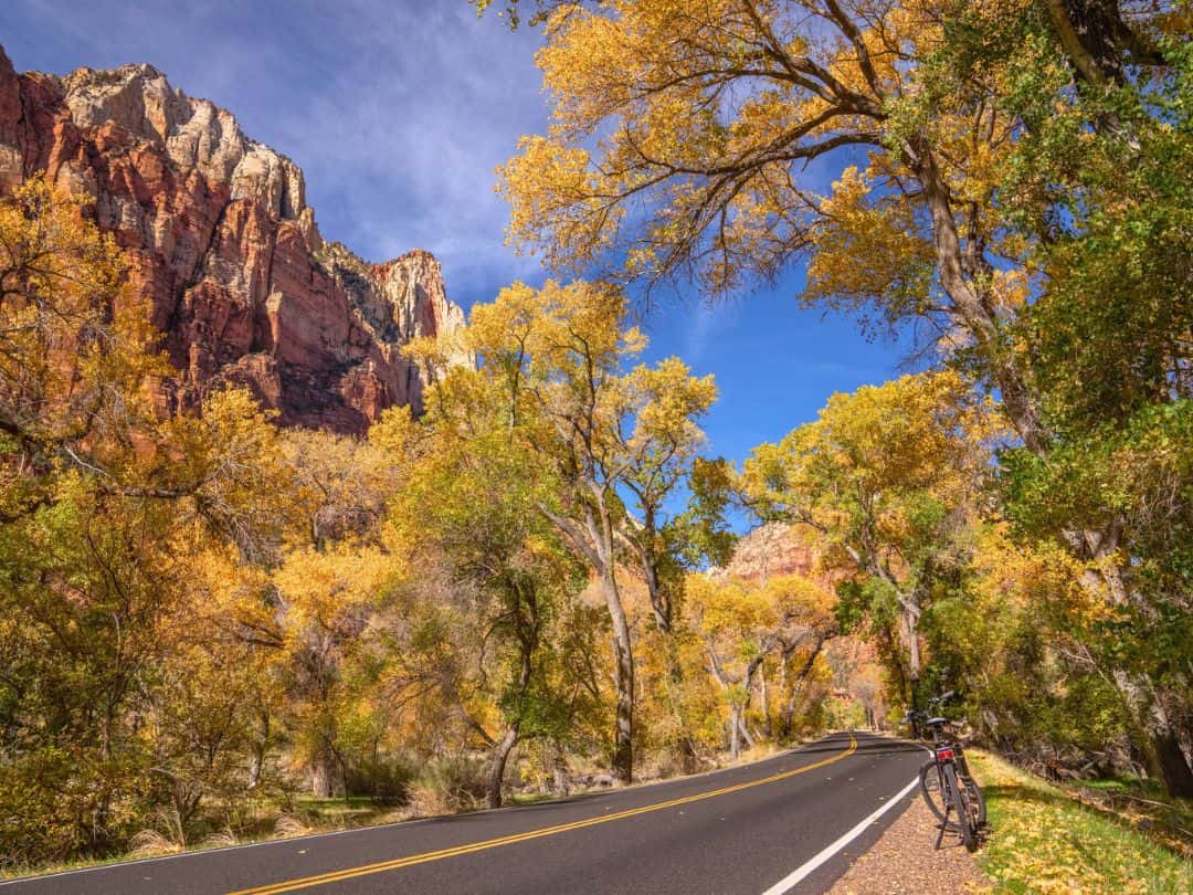 Zion Scenic Drive