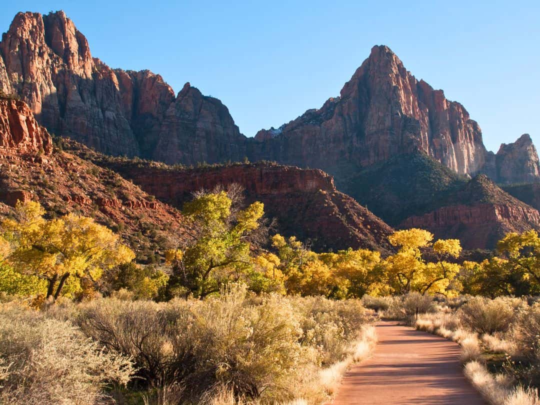 Watchman Trail in Zion