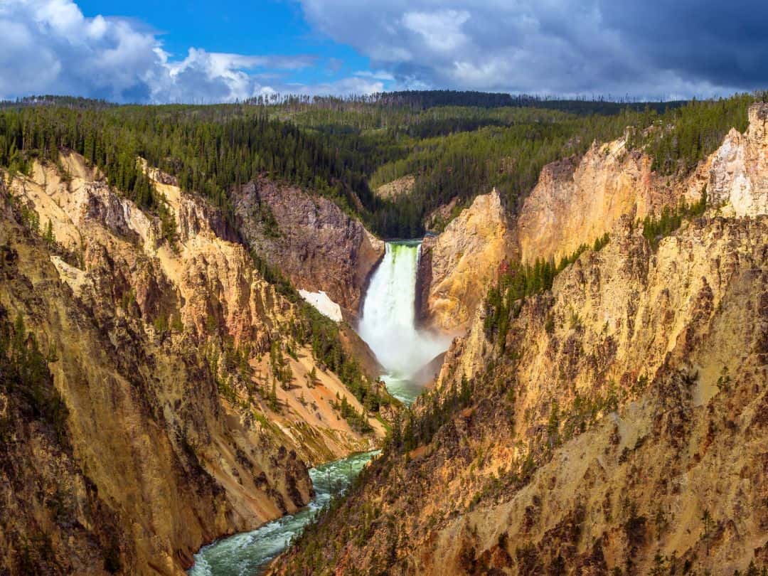 The Grand Canyon of Yellowstone