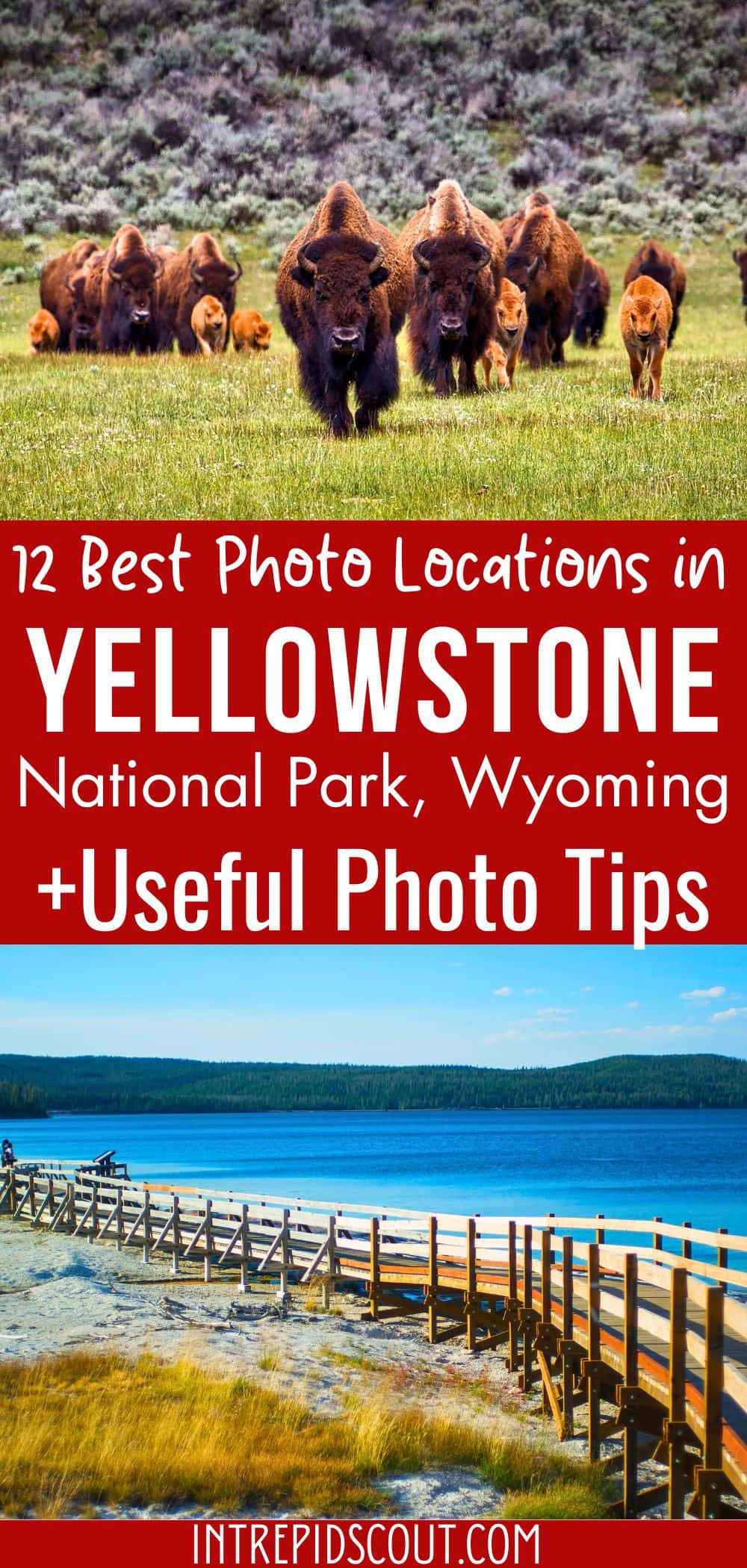 Best Photography Locations in Yellowstone