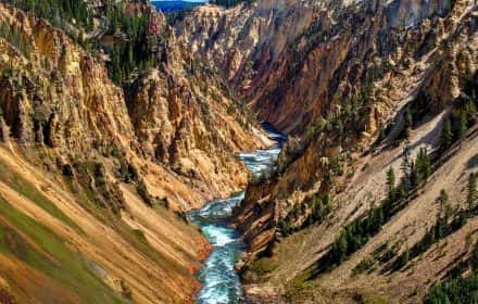 Best Stops on Yellowstone Lower Loop Drive