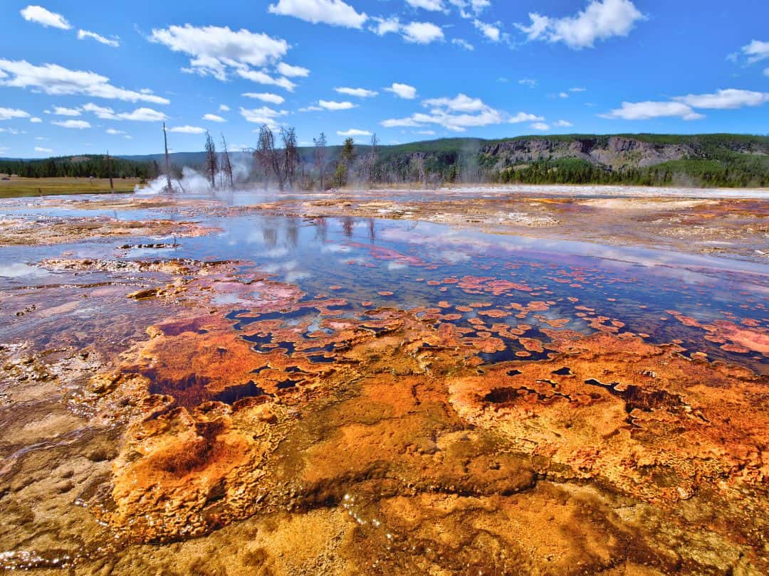 Best Stops on Yellowstone Lower Loop Drive Biscuit Basin in Yellowstone