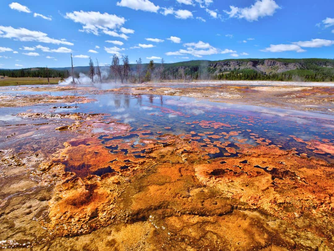 Biscuit Basin in Yellowstone