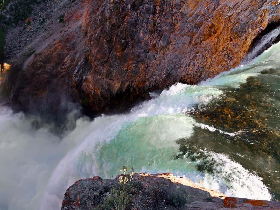 Brink of the Lower Falls