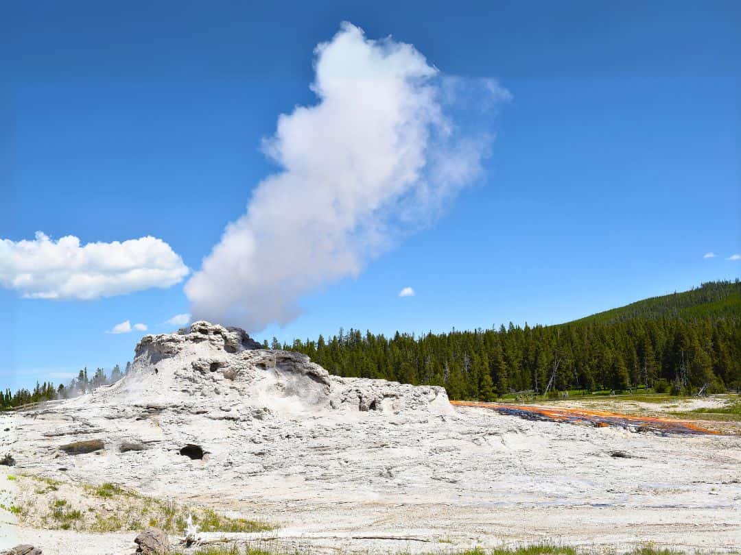 One Day in Yellowstone